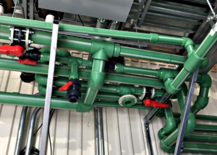 5-q6udmv6k988r3558cn1ryceikz4abofwkp10gcscjs